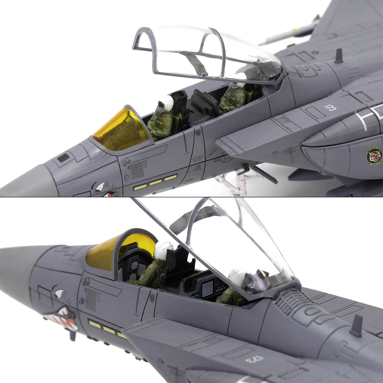 Boeing F-15E Strike Eagle“Shark Mouth”